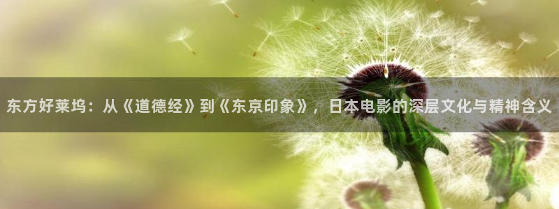 電視劇極速救援全集在線觀看免費：東方好萊塢：從《道德經》到《東京印象》，日本電影的深層文化與精神含義
